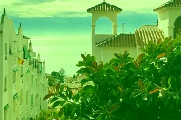 Madison, 20 — Escort in Rincon de Lopez, Mexico
