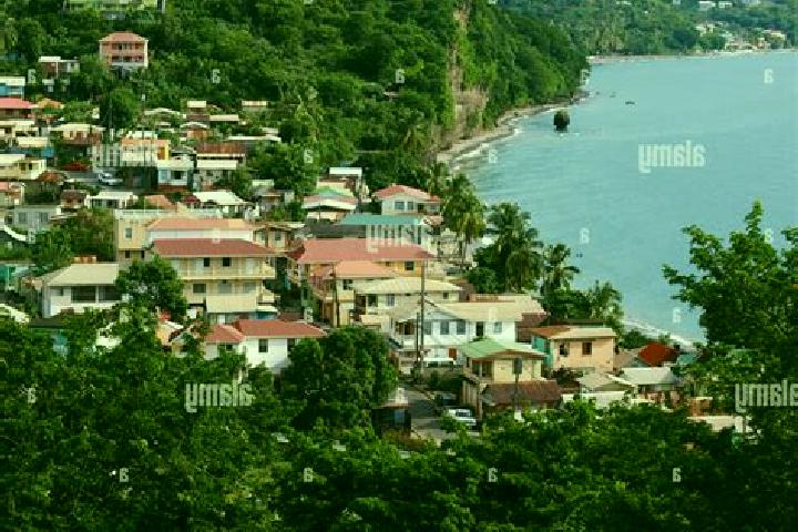 Madison, 20 — Escort in Saint Joseph, Dominica