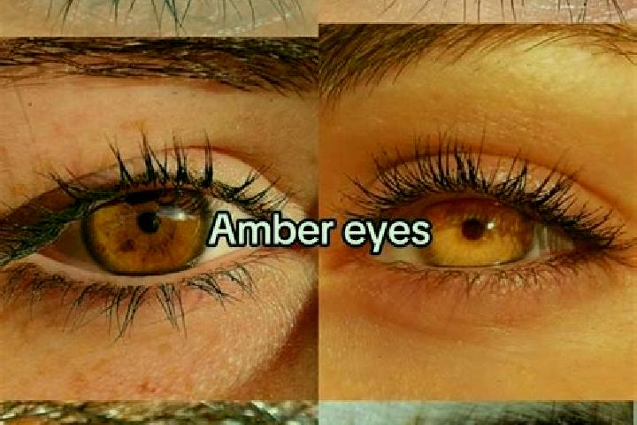 Madison, 21, a chestnut amber-eyed mediterranean companion based in Golynki. Offering Erotic Massage, Striptease, A-Level, Party Girl. Available for incall a...