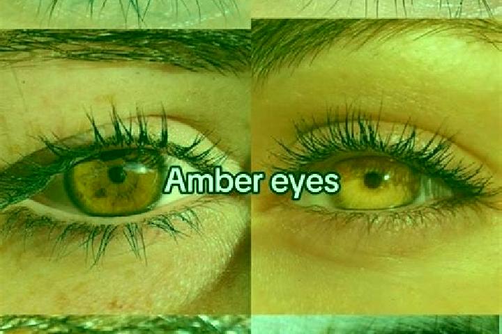 Madison, 21, a chestnut amber-eyed mixed companion based in Monte Alegre. Offering OWO, CIM, GFE. Available for incall and outcall, overnight bookings availa...