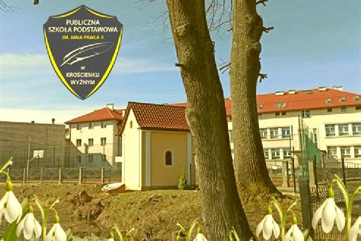 Madison, 21 — Escort in Kroscienko Wyzne, Poland
