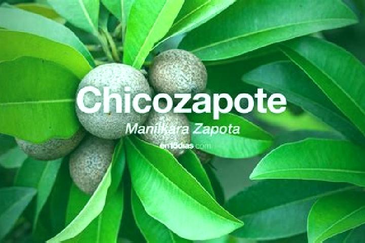 Madison, 21 — Escort in Santa Maria del Zapote, Mexico