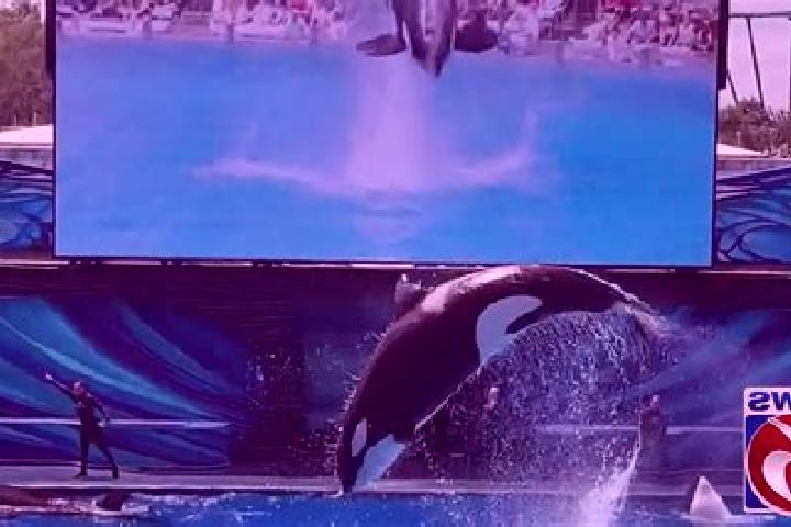 Madison, 21 — Escort in Shamu, China