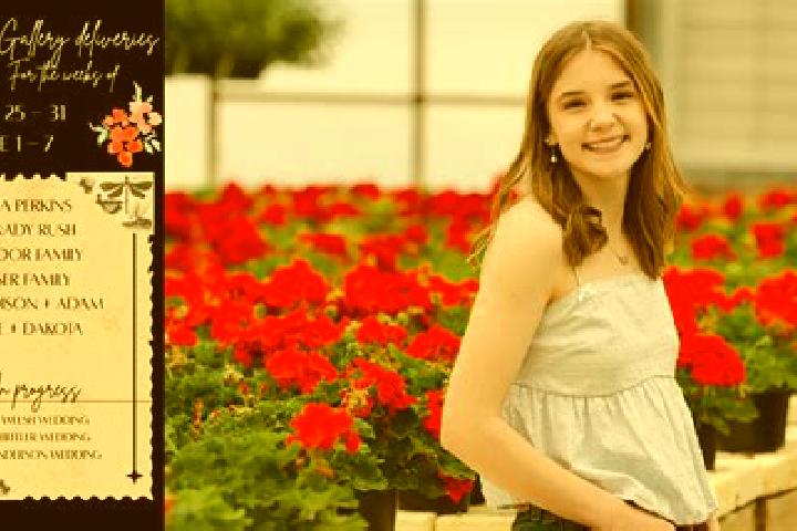 Madison, 21 — Escort in Stoiculesti, Romania