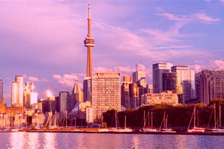 Madison, 21 — Escort in Toronto, Australia