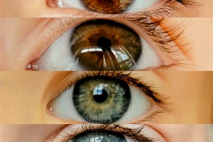Madison, 22, a chestnut grey-eyed middle eastern companion based in Suncrest. Offering A-Level, Domination, Tantra, GFE, CIM. Available for incall and outcal...
