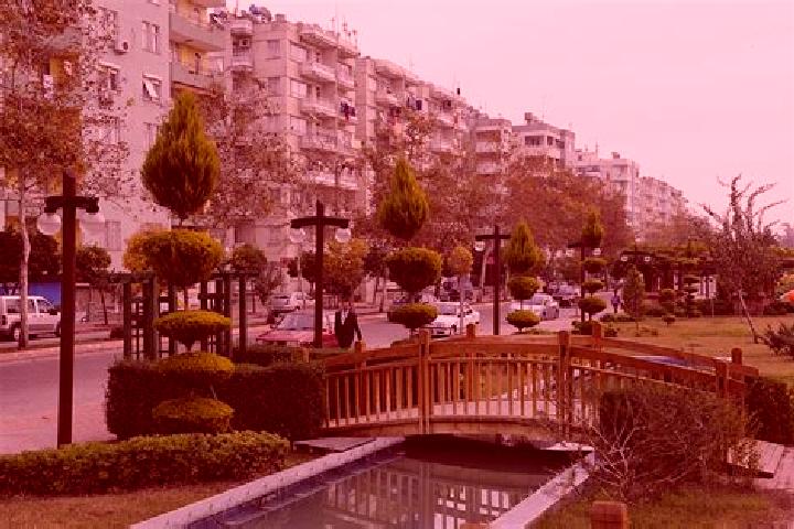 Madison, 22 — Escort in Ceyhan, Turkey