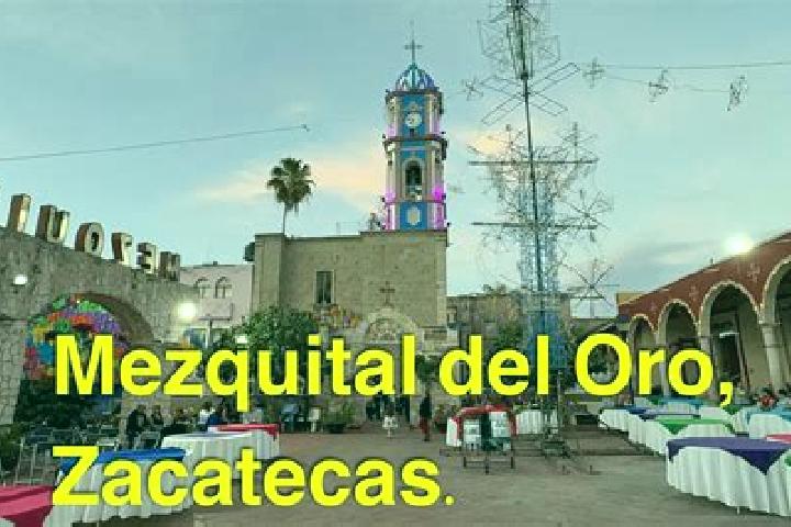 Madison, 22 — Escort in Mezquital del Oro, Mexico