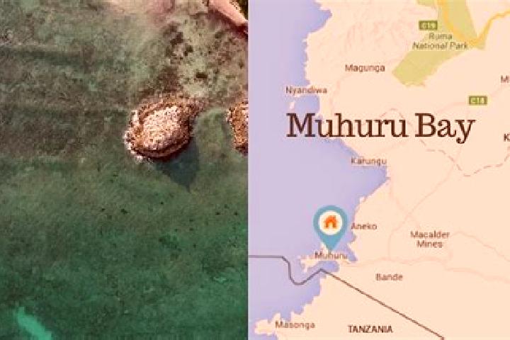 Madison, 22 — Escort in Muhuru, Kenya