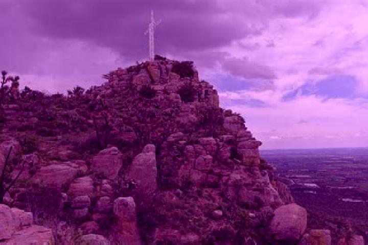 Madison, 22 — Escort in Noria del Cerro de Santiago (El Cerro), Mexico