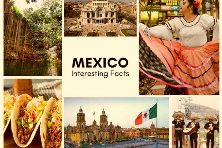 Madison, 22 — Escort in Putaxcat, Mexico
