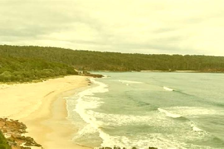 Madison, 23, a blonde hazel-eyed caribbean companion based in Pambula Beach. Offering OWO, Prostate Massage, 69. Available for incall and outcall, overnight ...