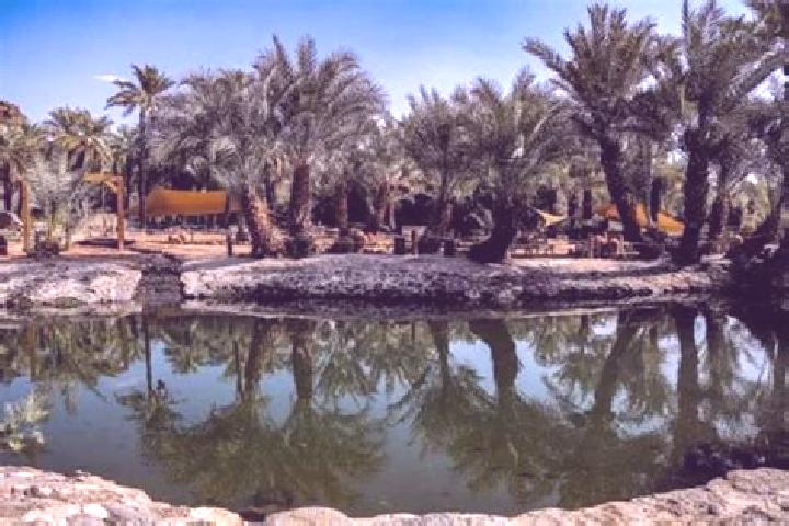 Madison, 23 — Escort in Al-Kharijah, Egypt