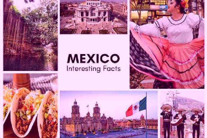 Madison, 23 — Escort in Chiquinivalvo, Mexico