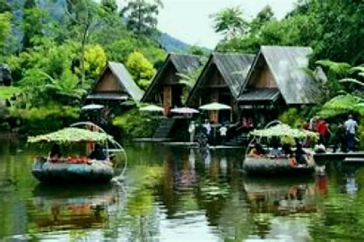 Madison, 23 — Escort in Cipedes, Indonesia