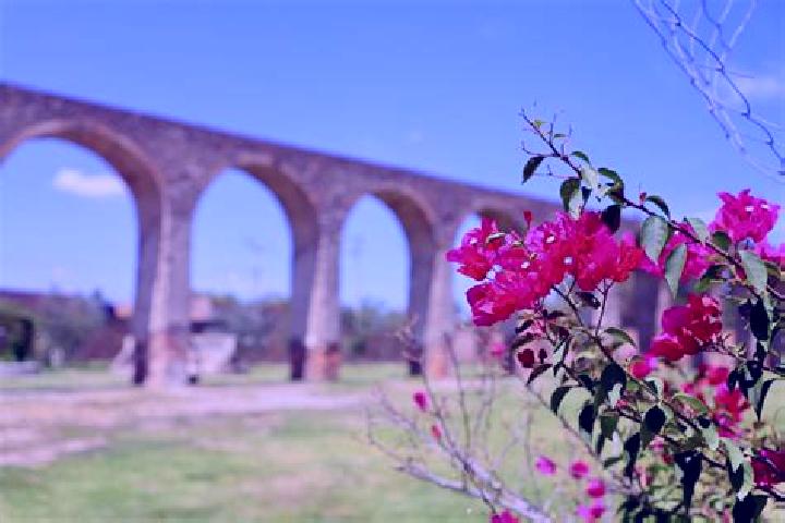 Madison, 23 — Escort in El Saucillo de Primavera, Mexico