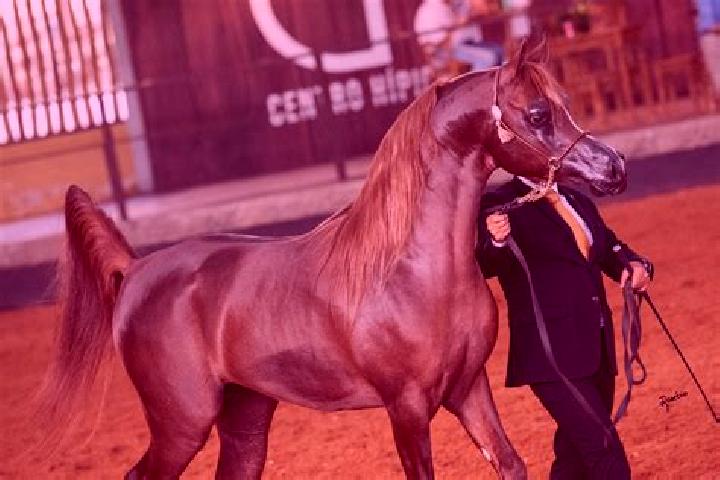 Madison, 23 — Escort in Riacho dos Cavalos, Brazil