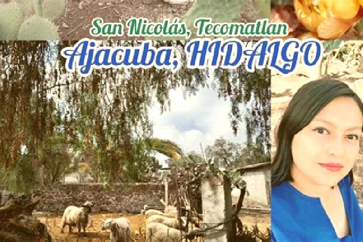 Madison, 23 — Escort in San Nicolas Tecomatlan, Mexico