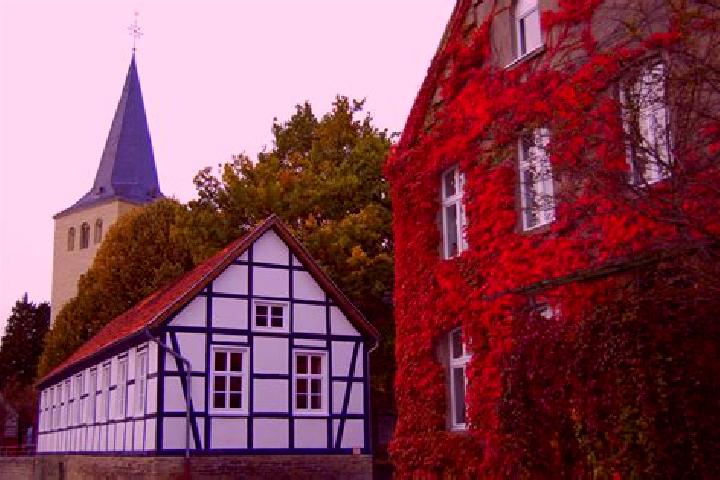 Madison, 23 — Escort in Welver, Germany