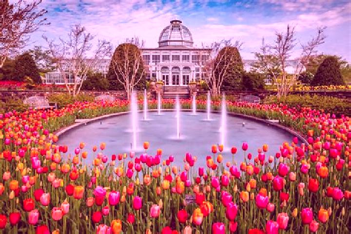 Madison, 23 — Escort in Winter Gardens, United States