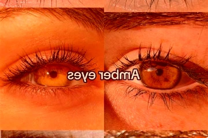 Madison, 24, a chestnut amber-eyed mixed companion based in Hertnik. Offering Erotic Massage, GFE, BDSM. Available for incall and outcall, overnight bookings...
