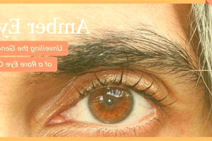 Madison, 24, a red amber-eyed european companion based in Grossenehrich. Offering GFE, Party Girl, Domination. Available for incall and outcall, day and even...