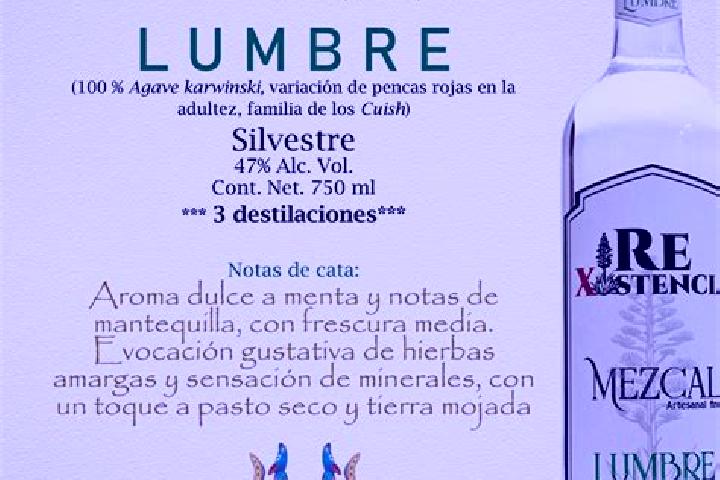 Madison, 24 — Escort in Piedras de Lumbre, Mexico