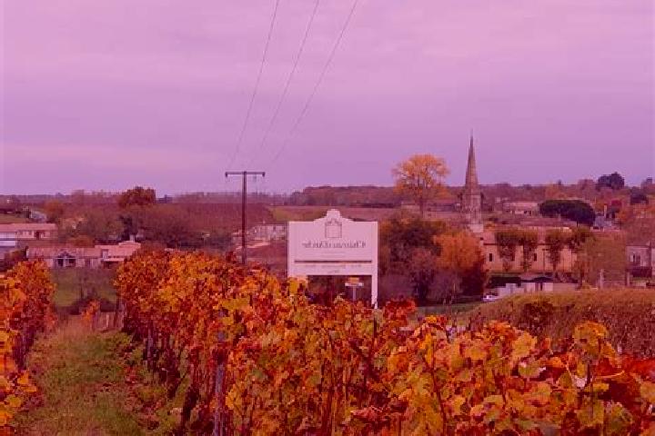 Madison, 25 — Escort in Barsac, France