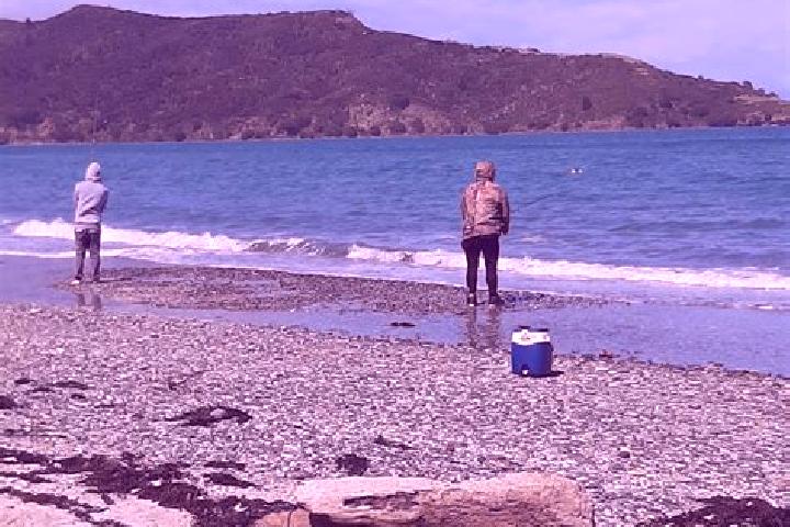 Madison, 25 — Escort in Colville, New Zealand