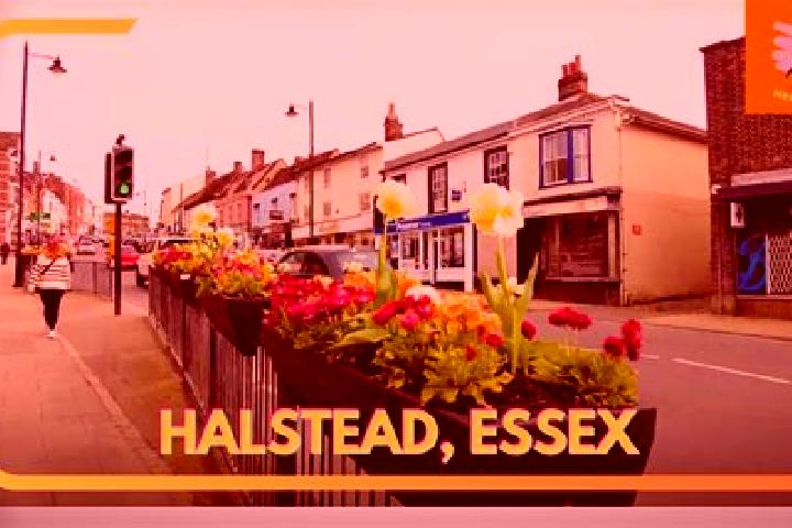 Madison, 25 — Escort in Halstead, United States