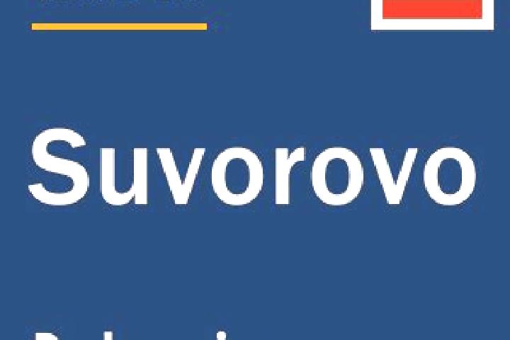 Madison, 25 — Escort in Suvorovo, Ukraine
