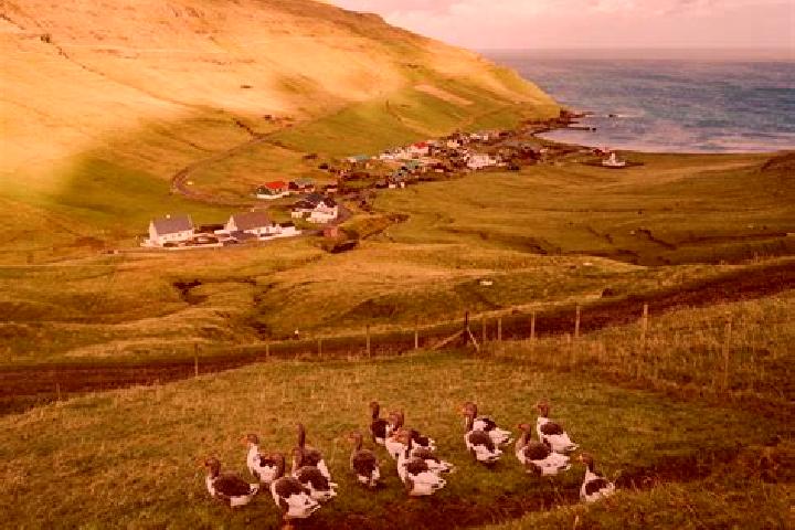 Madison, 25 — Escort in Trongisvagur, Faroe Islands