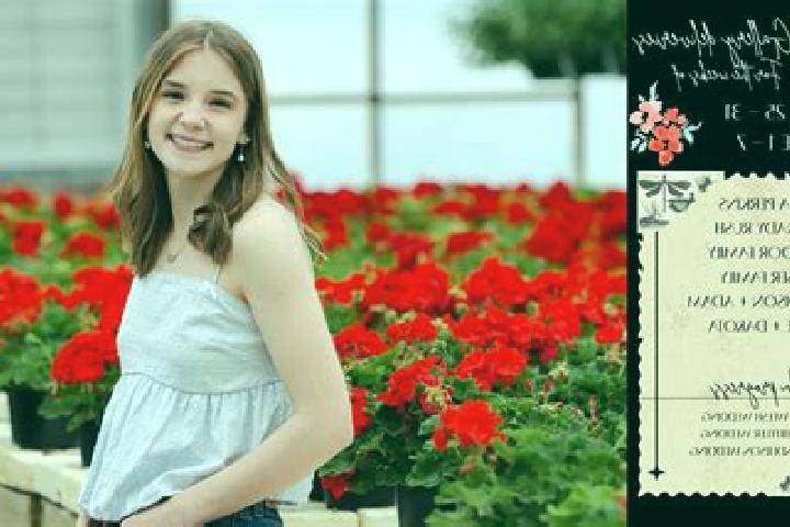 Madison, 25 — Escort in Verbovets, Ukraine