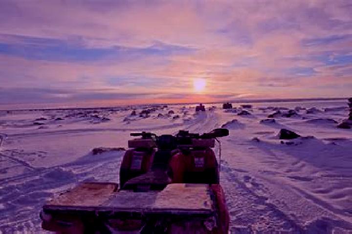 Madison, 26 — Escort in Igloolik, Canada