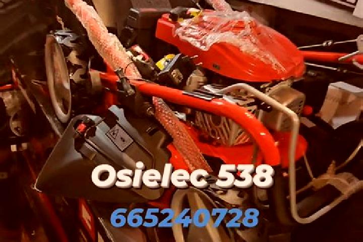 Madison, 26 — Escort in Osielec, Poland