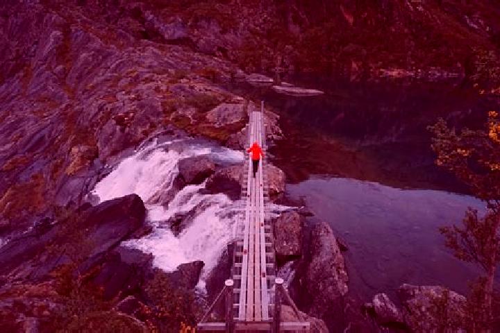 Madison, 26 — Escort in Straumen, Norway