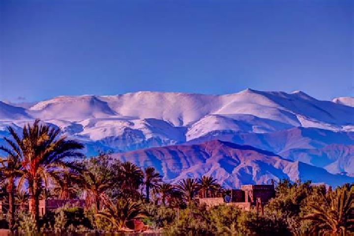 Madison, 27 — Escort in Ahfir, Morocco