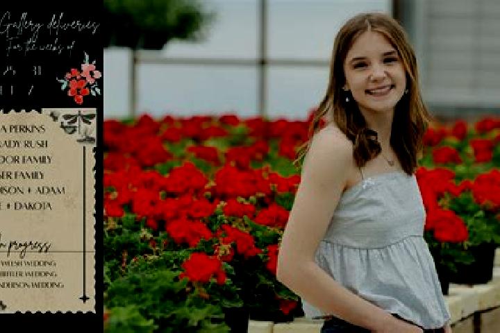 Madison, 27 — Escort in Brnicko, Czech Republic