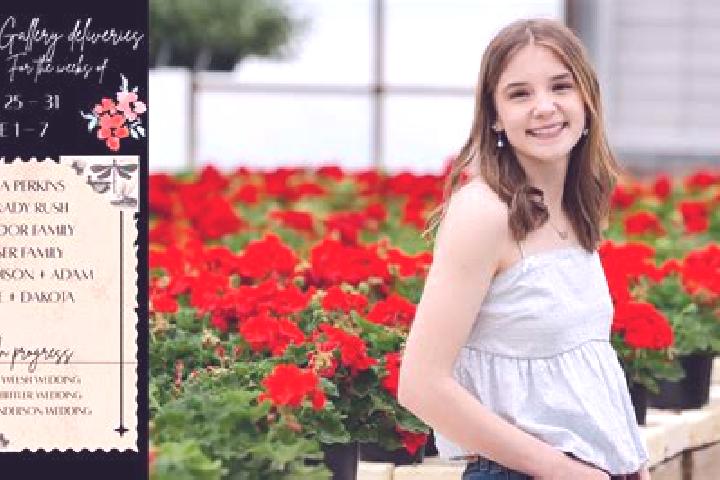 Madison, 27 — Escort in Freeville, United States