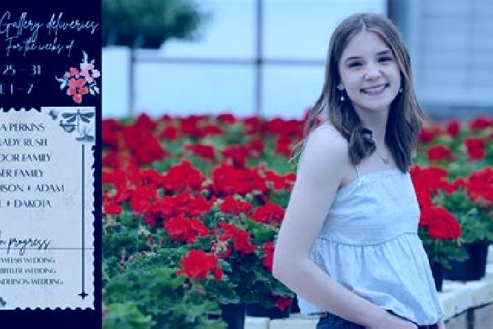 Madison, 27 — Escort in Mannswoerth, Austria