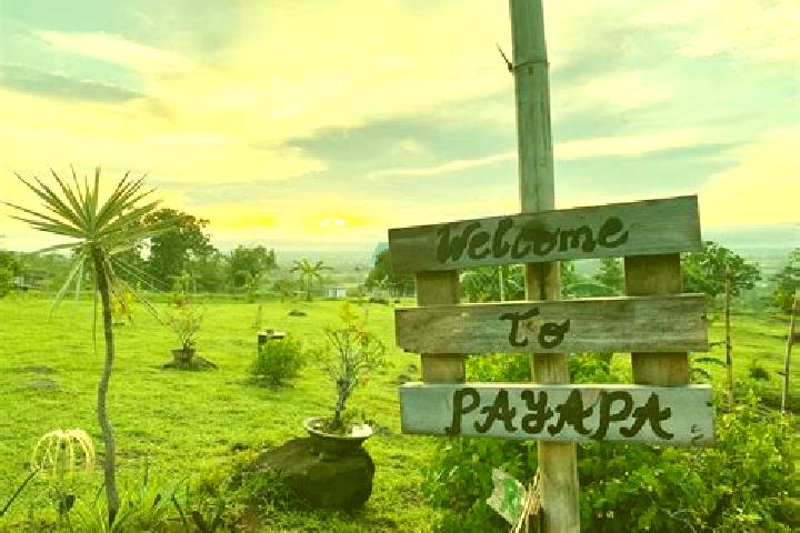 Madison, 27 — Escort in Payapa, Philippines
