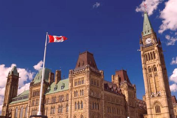 Madison, 27 — Escort in Sussex, Canada