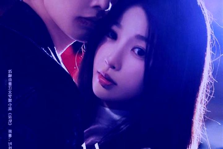 Madison, 27 — Escort in Tayang, China