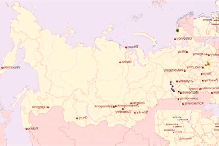 Madison, 27 — Escort in Zhdankovskiy, Russia