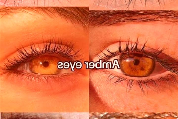 Madison, 28, a chestnut amber-eyed slavic companion based in Vercana. Offering Striptease, Tantra, Travel Companion. Available for incall and outcall, overni...