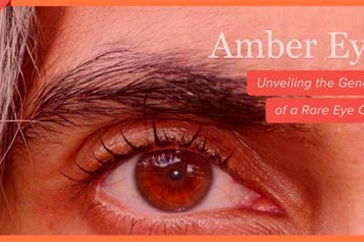 Madison, 28, a red amber-eyed mixed companion based in Jeuk. Offering Dinner Date, Striptease, BDSM, CIM. Available for incall and outcall, overnight booking...