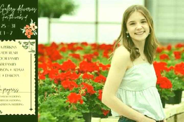 Madison, 28 — Escort in Anif, Austria