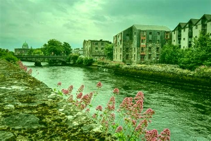 Madison, 28 — Escort in Galway, Ireland