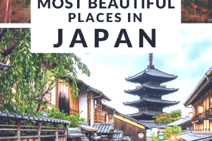 Madison, 28 — Escort in Miyashita, Japan