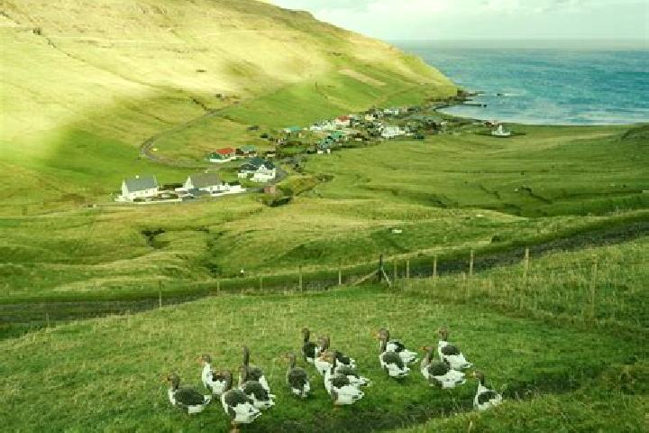 Madison, 28 — Escort in Nordragota, Faroe Islands